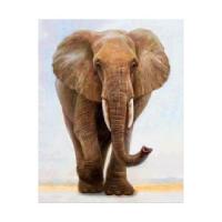 Алмазна мозаїка "Величний слон" - LogicHub