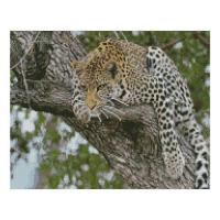 Алмазна мозаїка "Леопард на дереві" - LogicHub